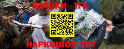 индика Моздок