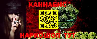индика Моздок