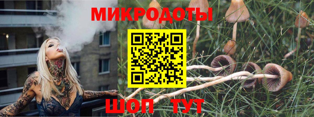 Псилоцибиновые грибы MAGIC MUSHROOMS  Вход с VPN  Псилоцибиновые грибы Magic Shrooms  где купить   Углич 