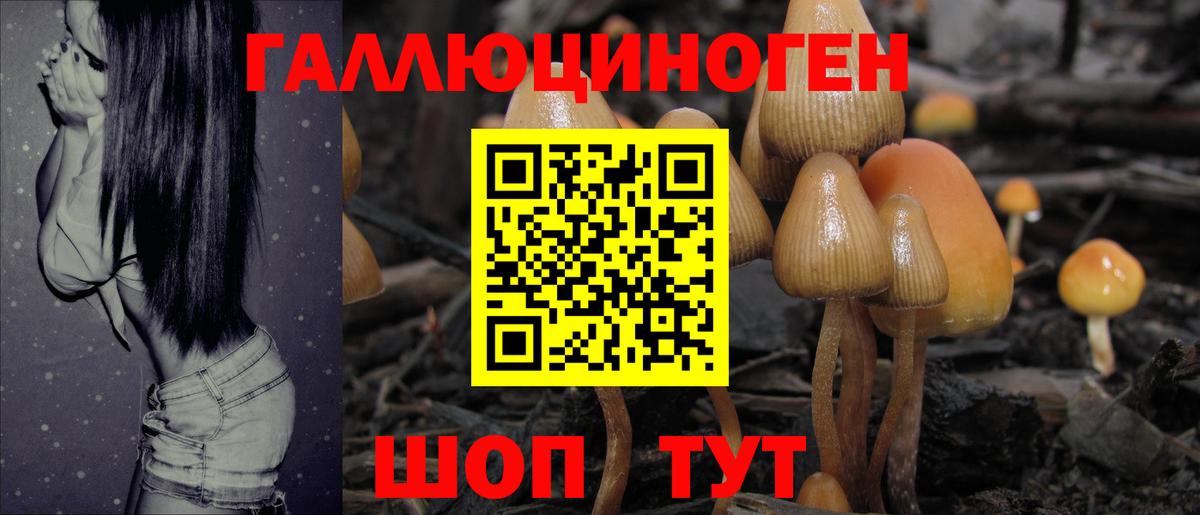 Псилоцибиновые грибы ЛСД Углич